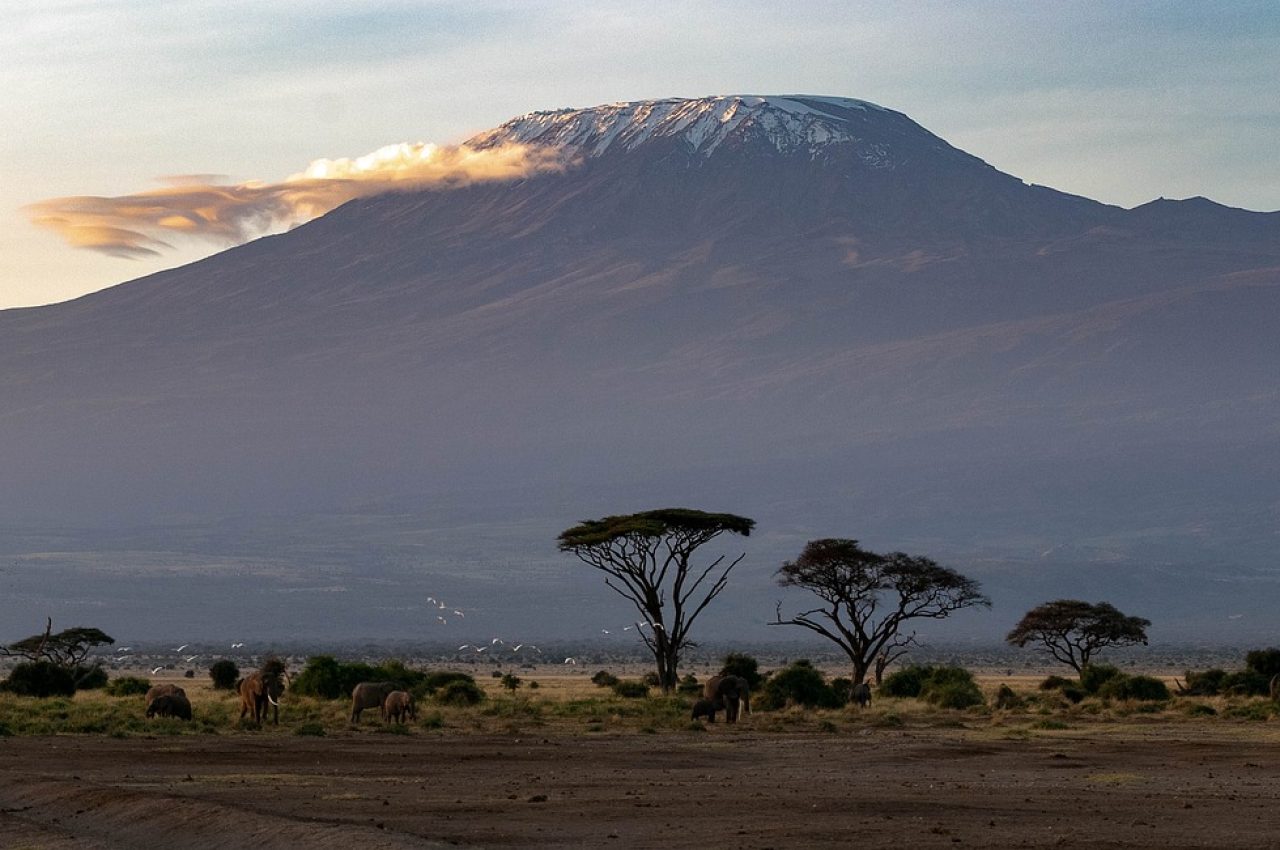 africa-4055169_1280 (1)