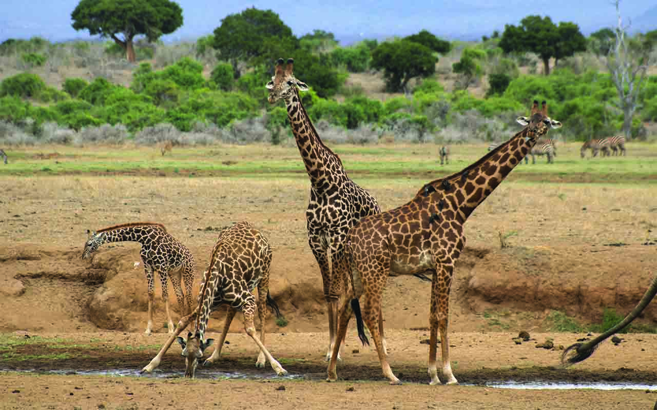 Tanzania Active Safaris